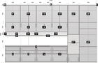 product-image-4